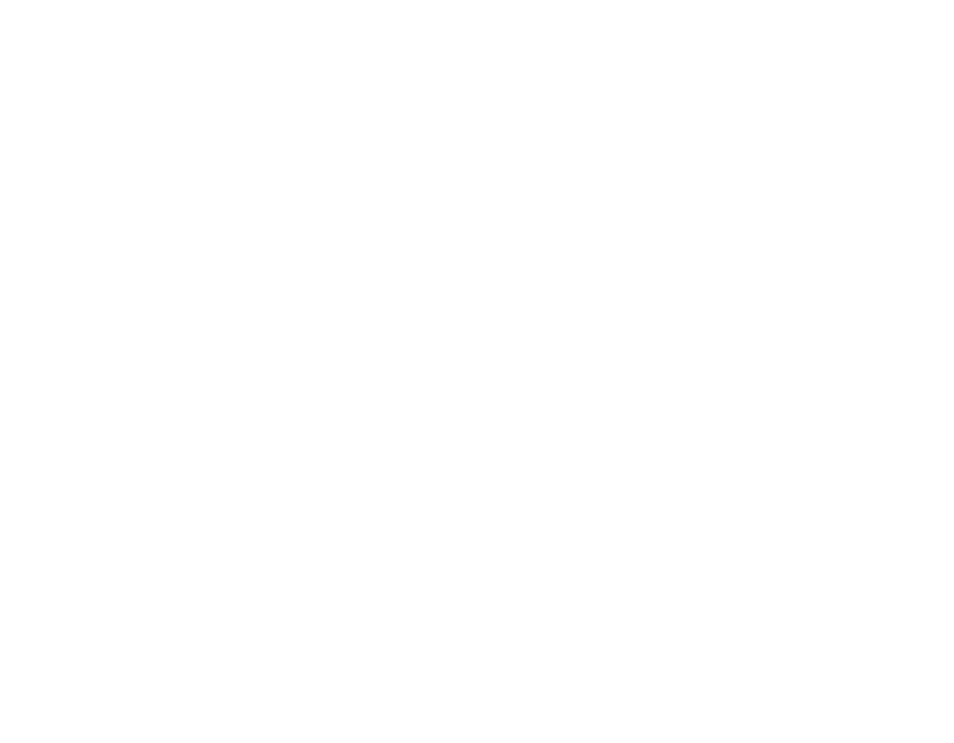 Radio icon